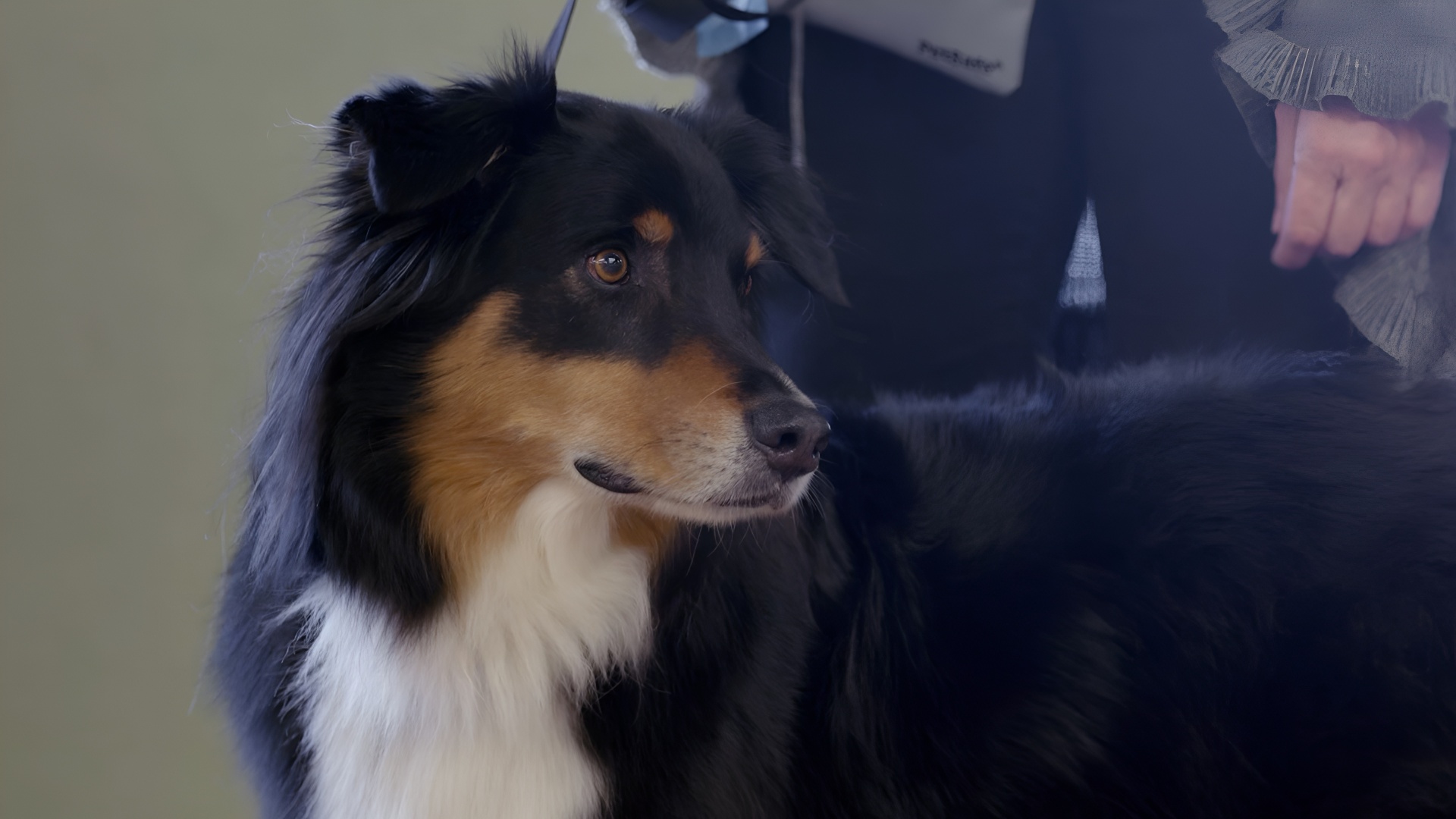 A custom simulator helped prepare them. 