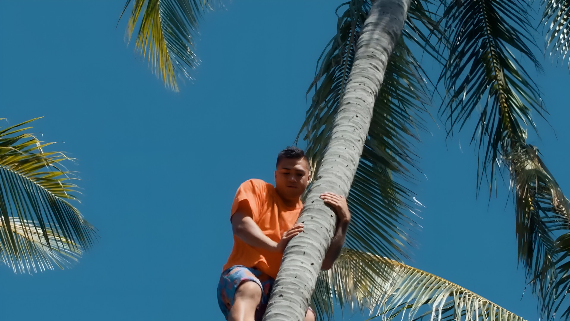 To truly perform hula, you must fully commit It requires living and thinking like those before you