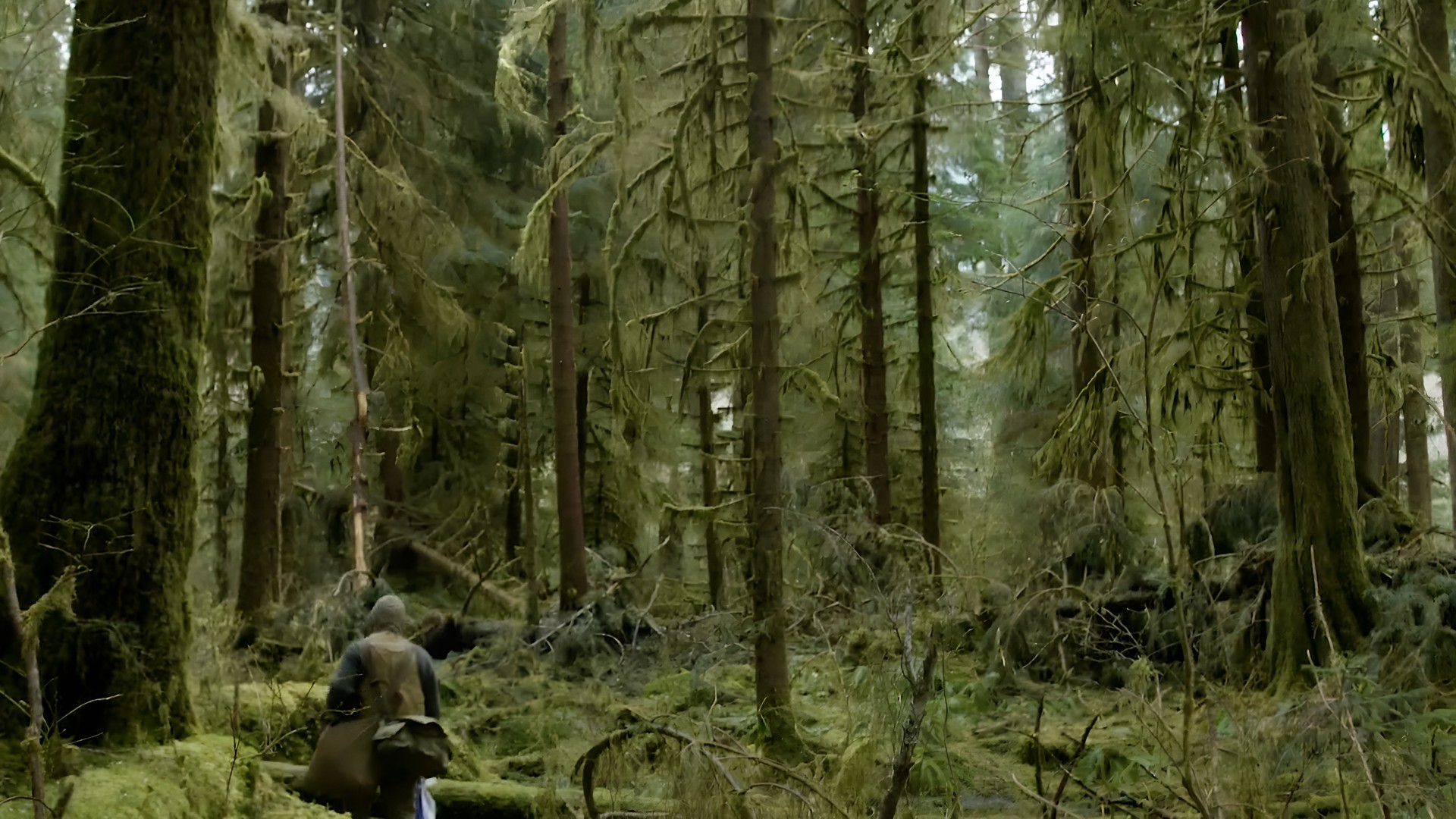 An elk trail once led him to this precise spot