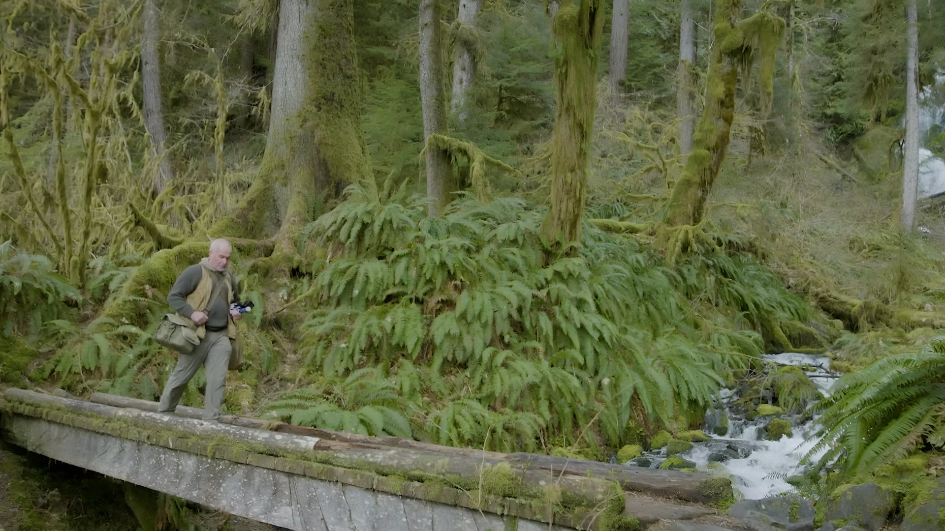 For Hempton, this forest is more than nature
