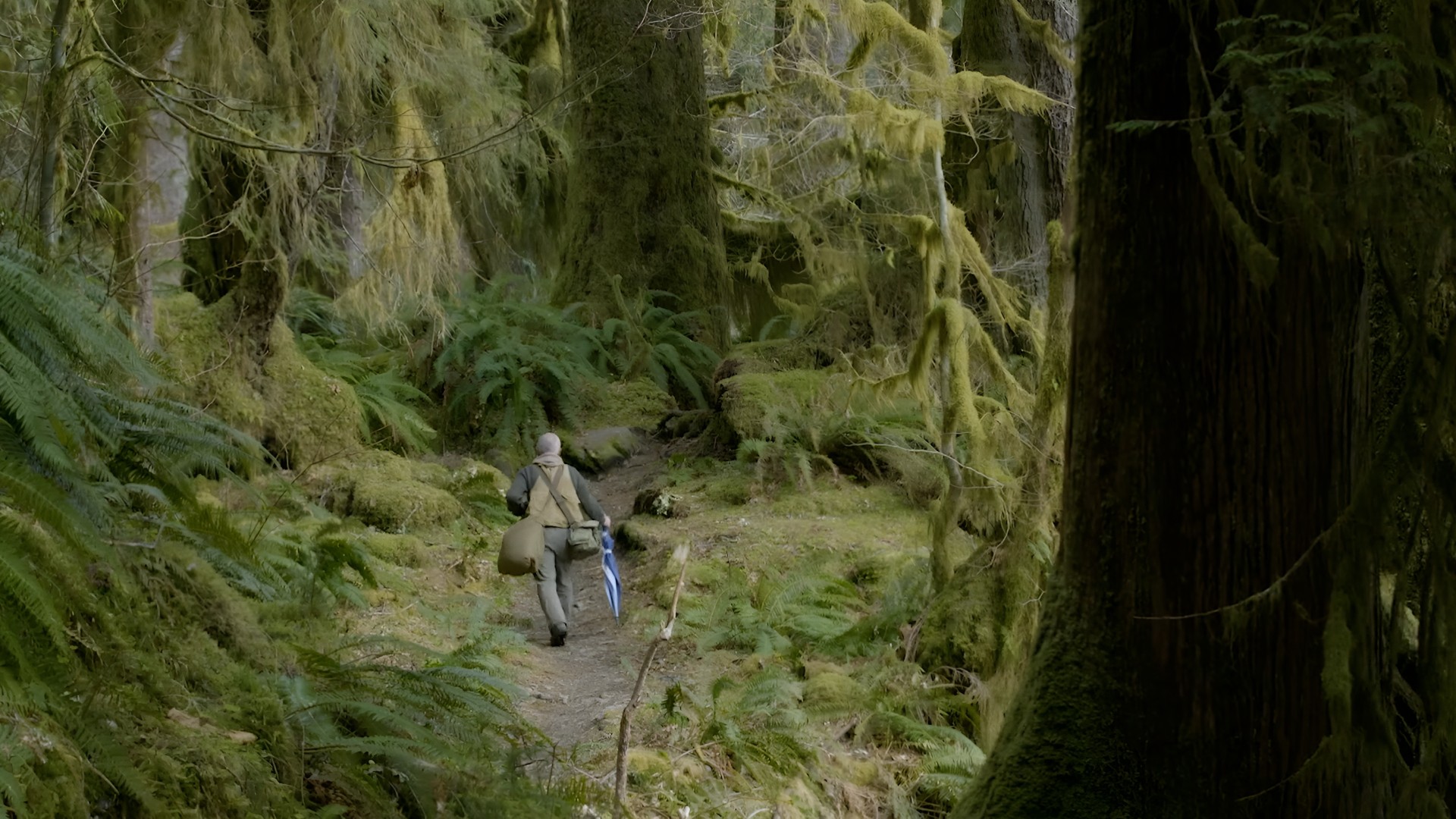 He travels the world capturing disappearing soundscapes
