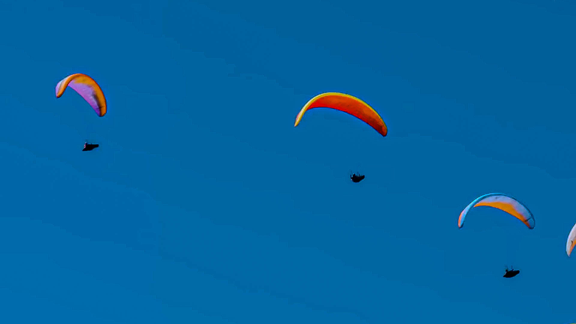 Meet Nick Greece, a professional paraglider pilot