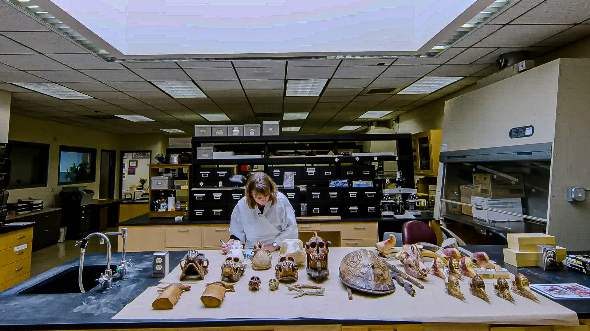 Inside the National Fish and Wildlife Forensics Laboratory