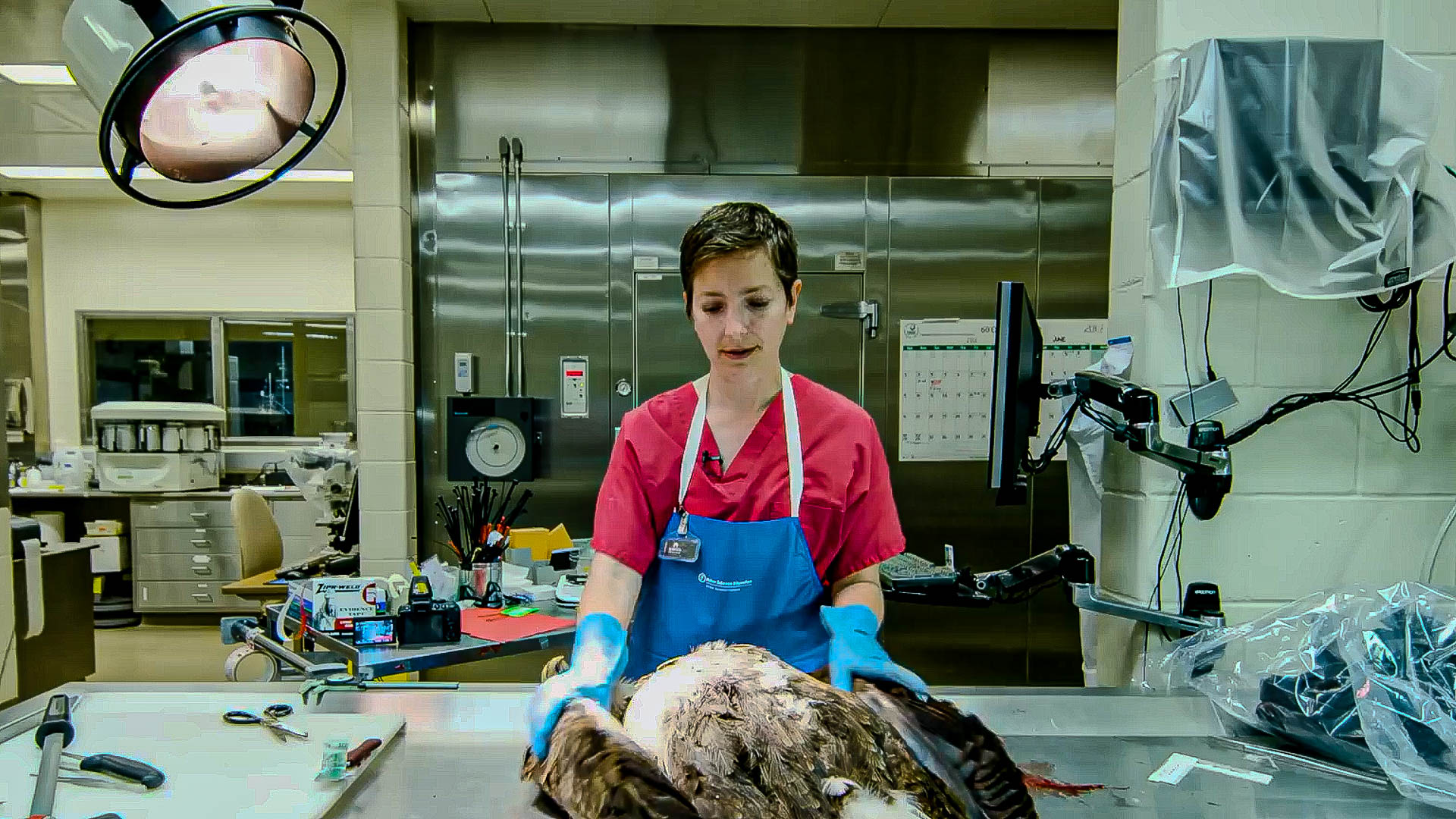 Autopsies reveal what the eye cannot see