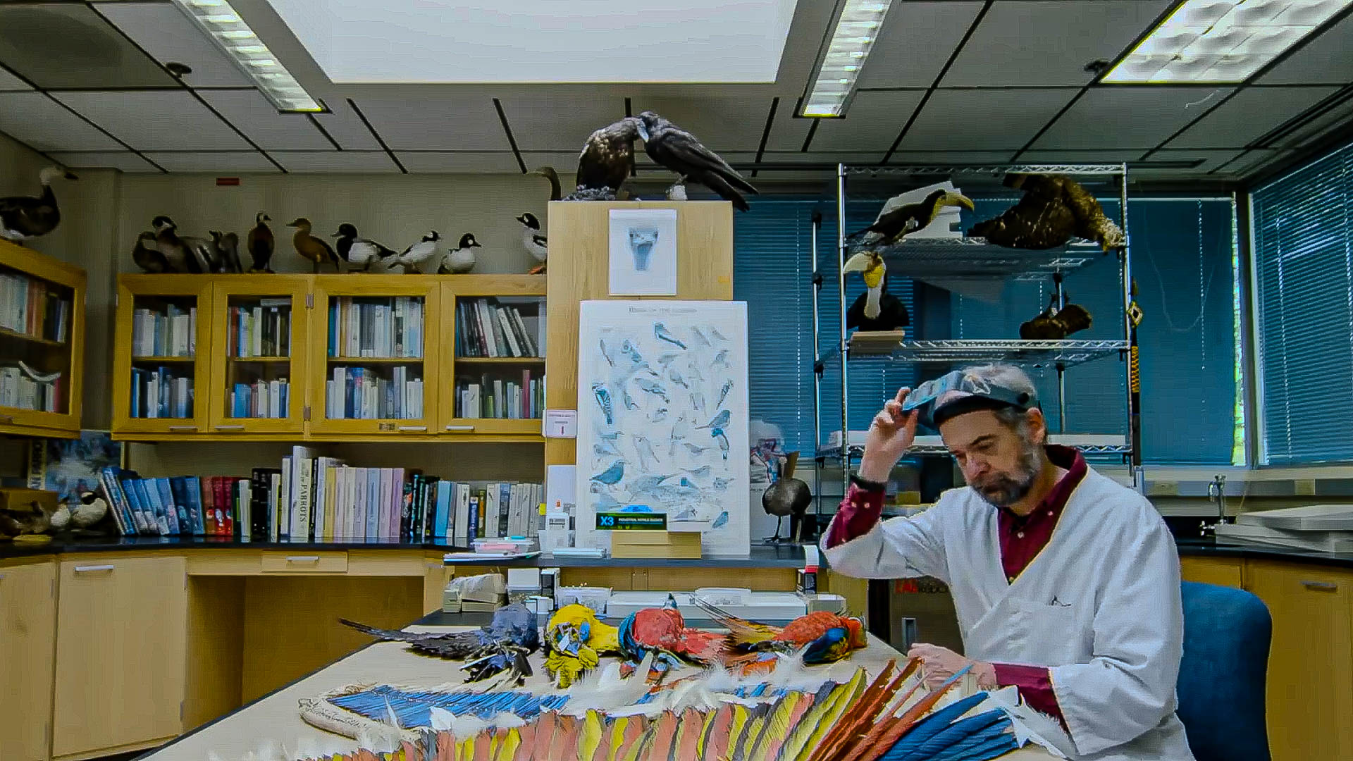 Thousands of specimens support the work