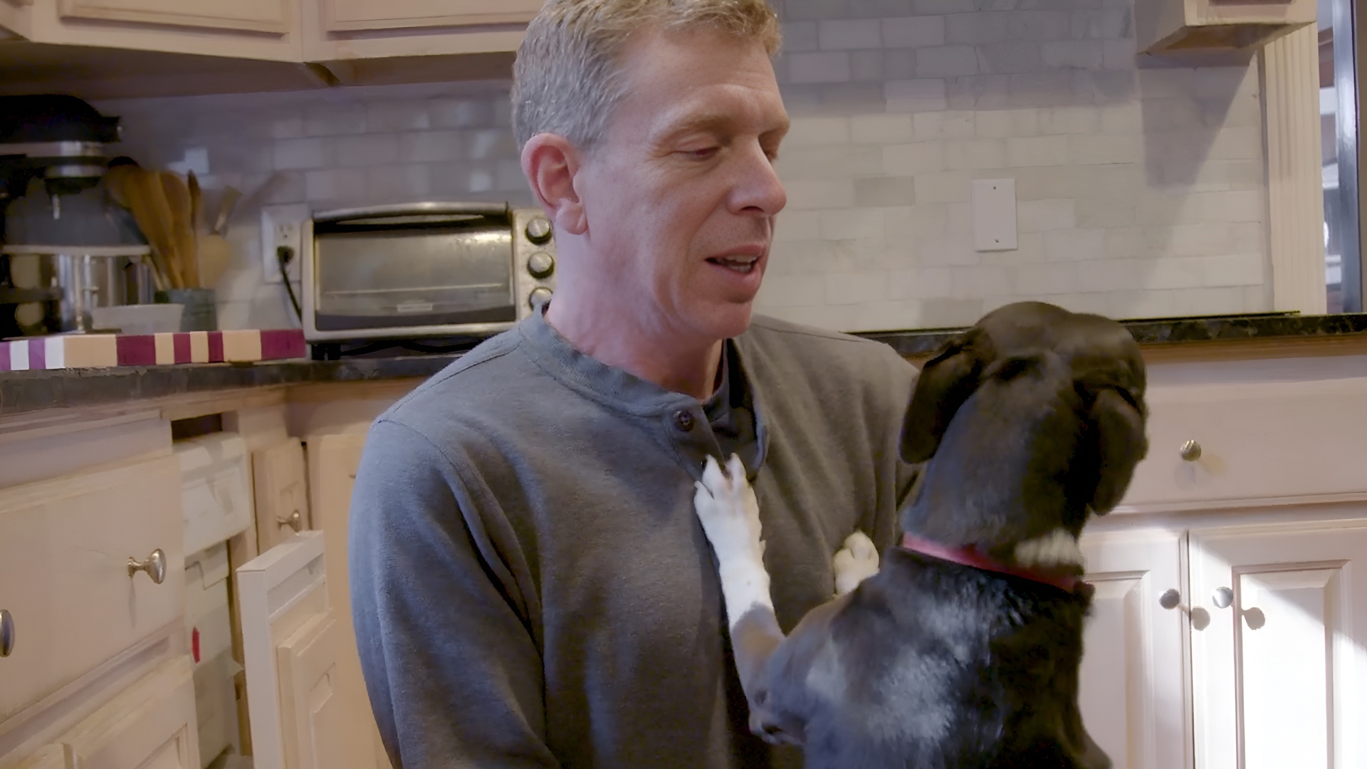 Gregory Berns studies how dogs think. 