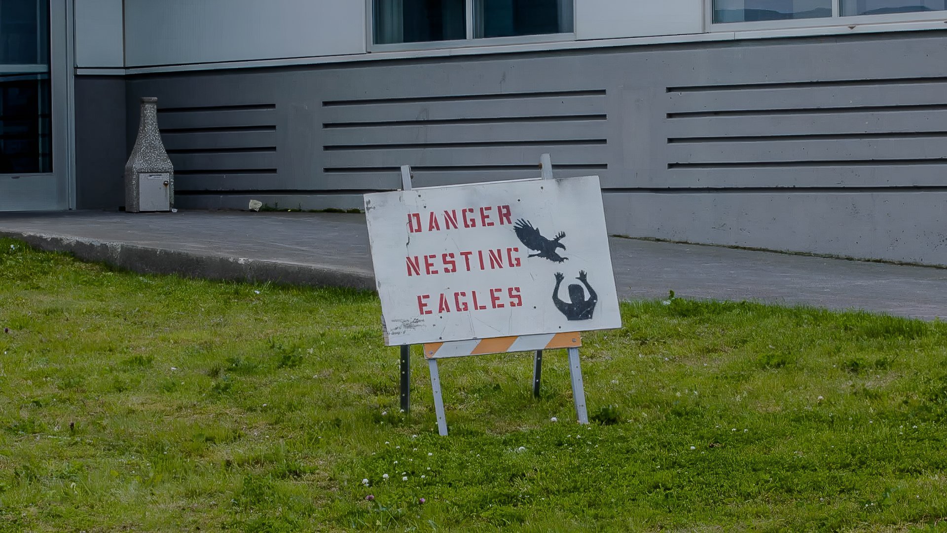 Locals say everyone has an eagle story