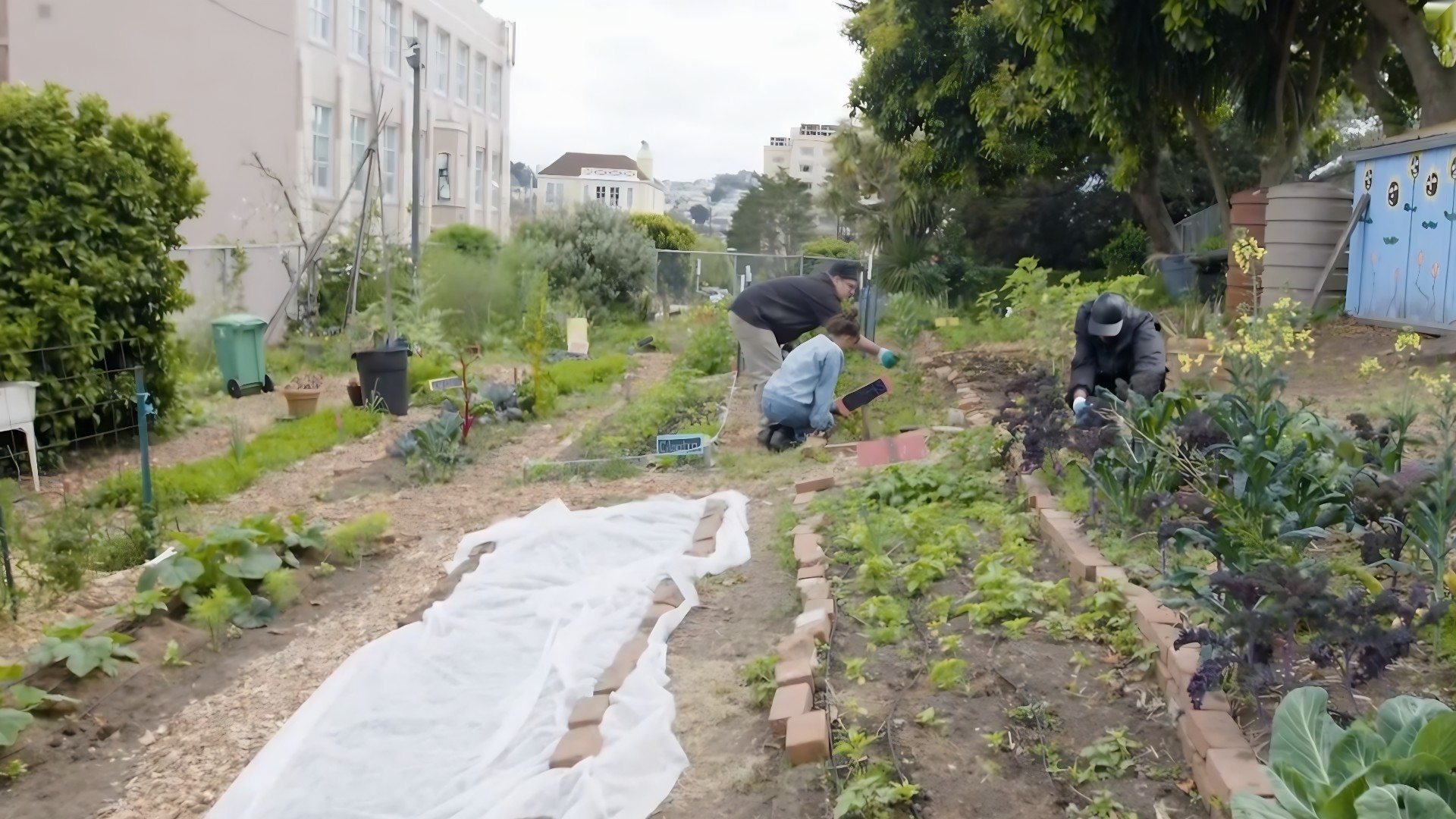 Fresh ingredients move from farm to kitchen. A new stage of learning begins.