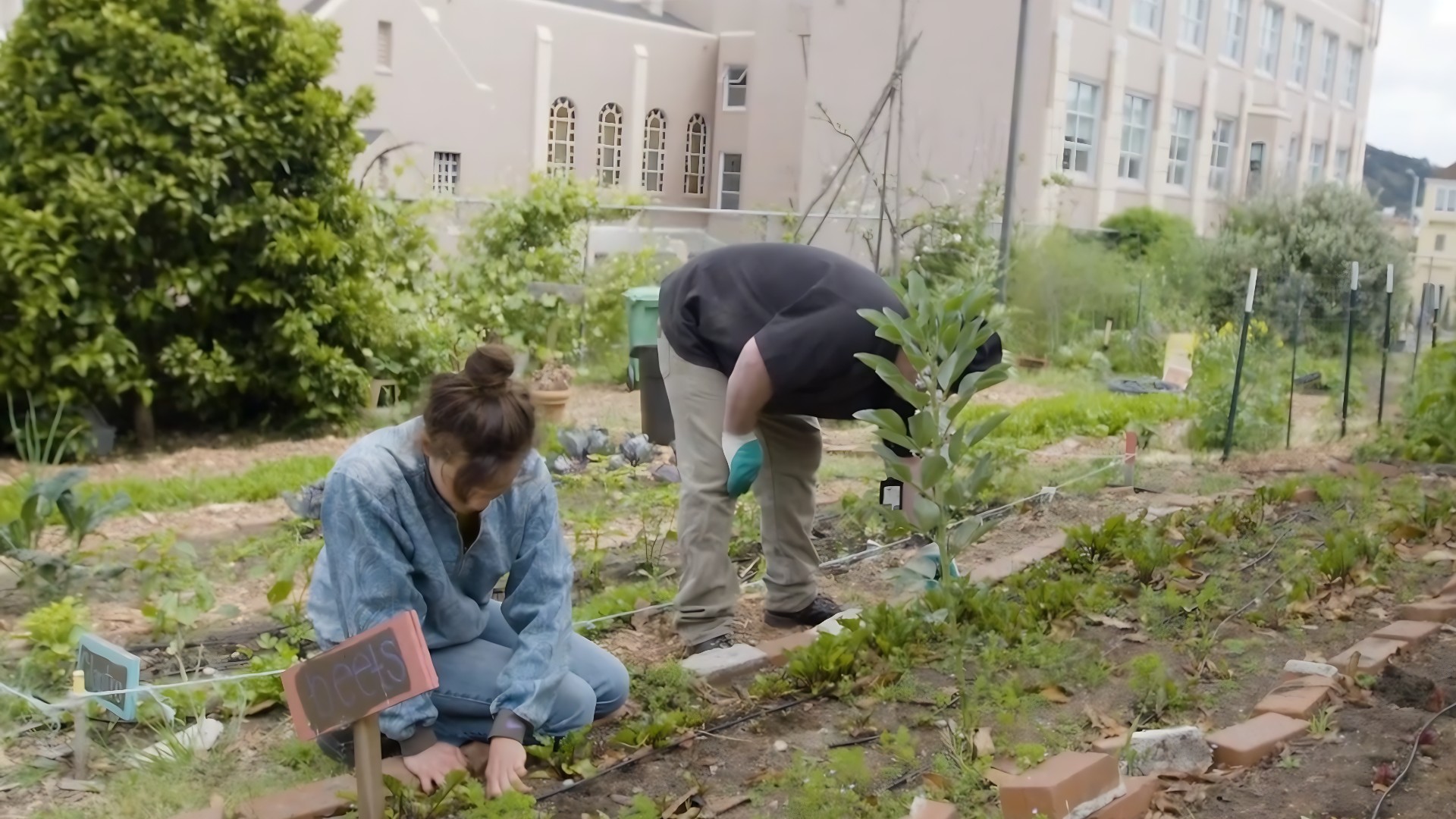 Farming Hope tackles homelessness through food. The program focuses on skills and opportunity.