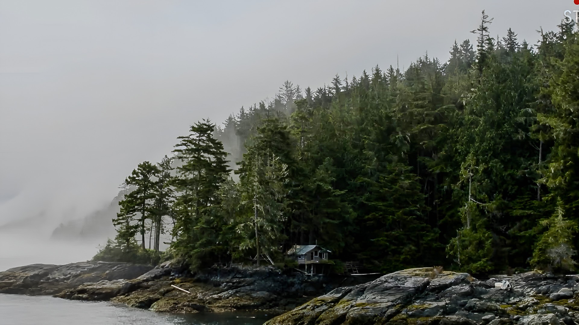 When human noise interrupts nature