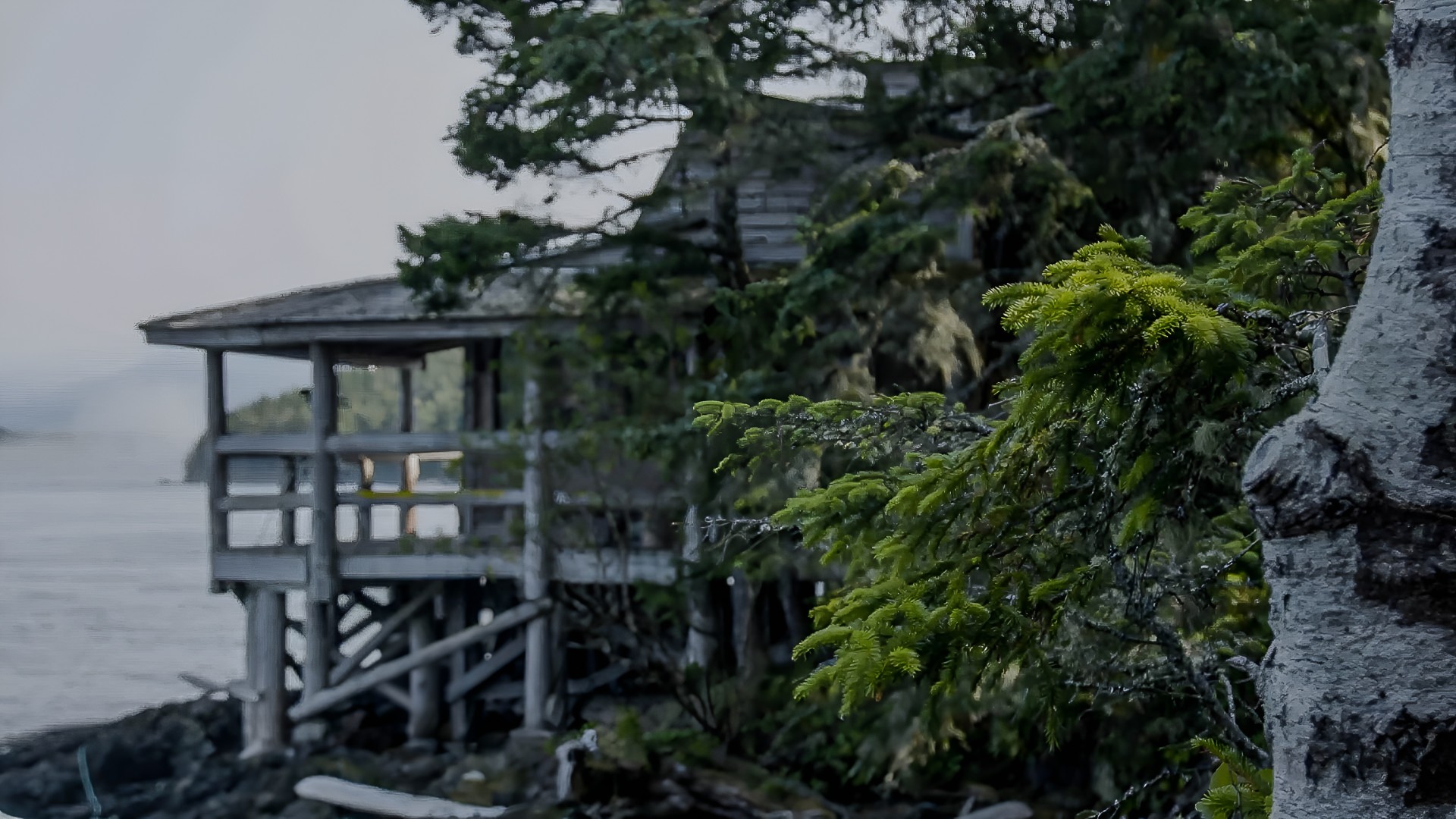 An island shared with nature