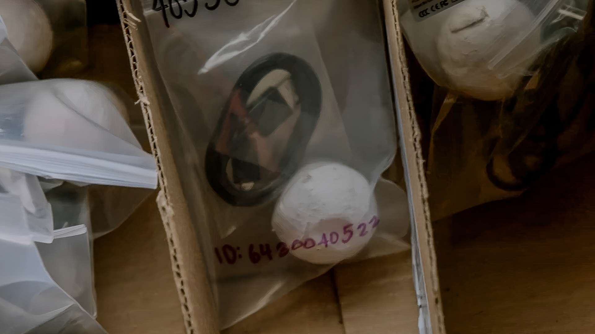 Technology Hidden Inside the Nest