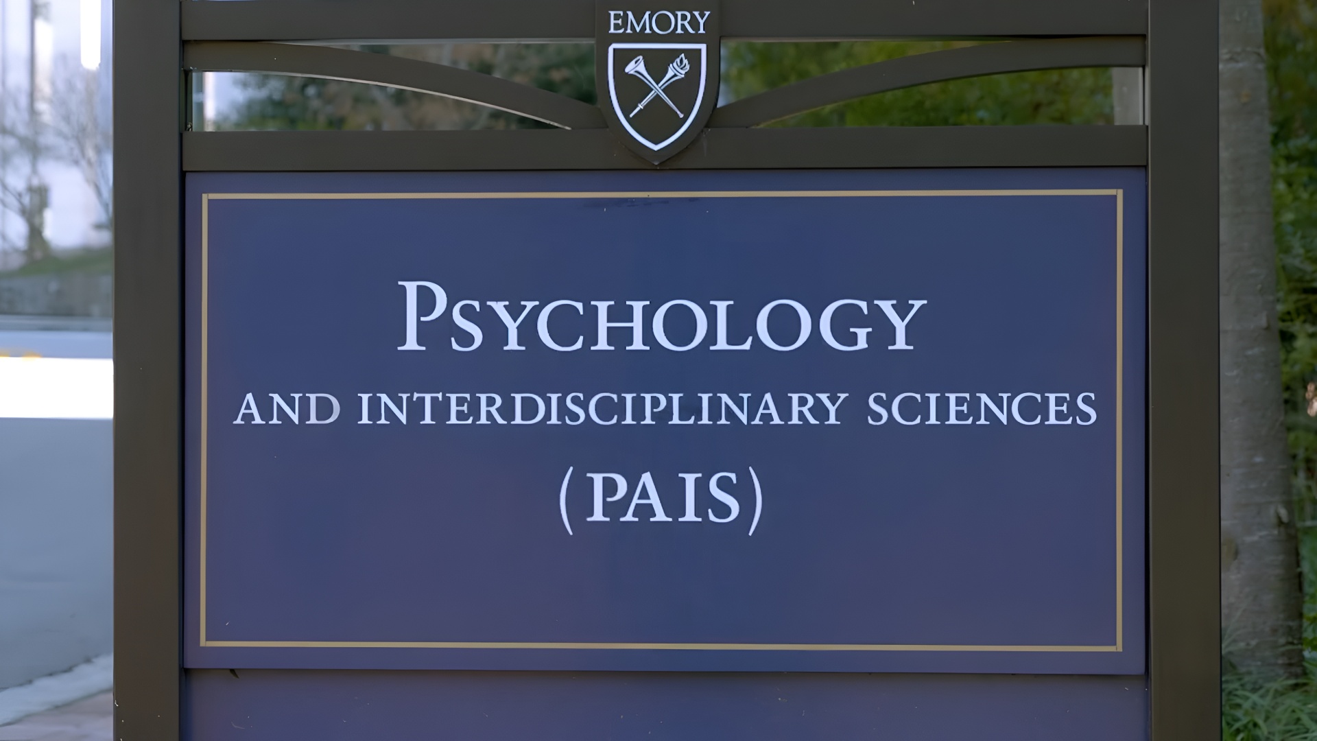To find answers, he turned to brain imaging. 