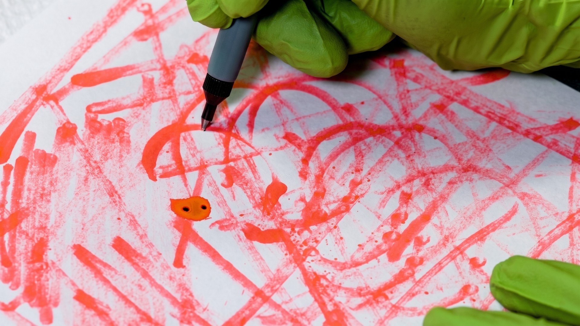 Document analyst Irina Geiman studies suspicious documents every day.