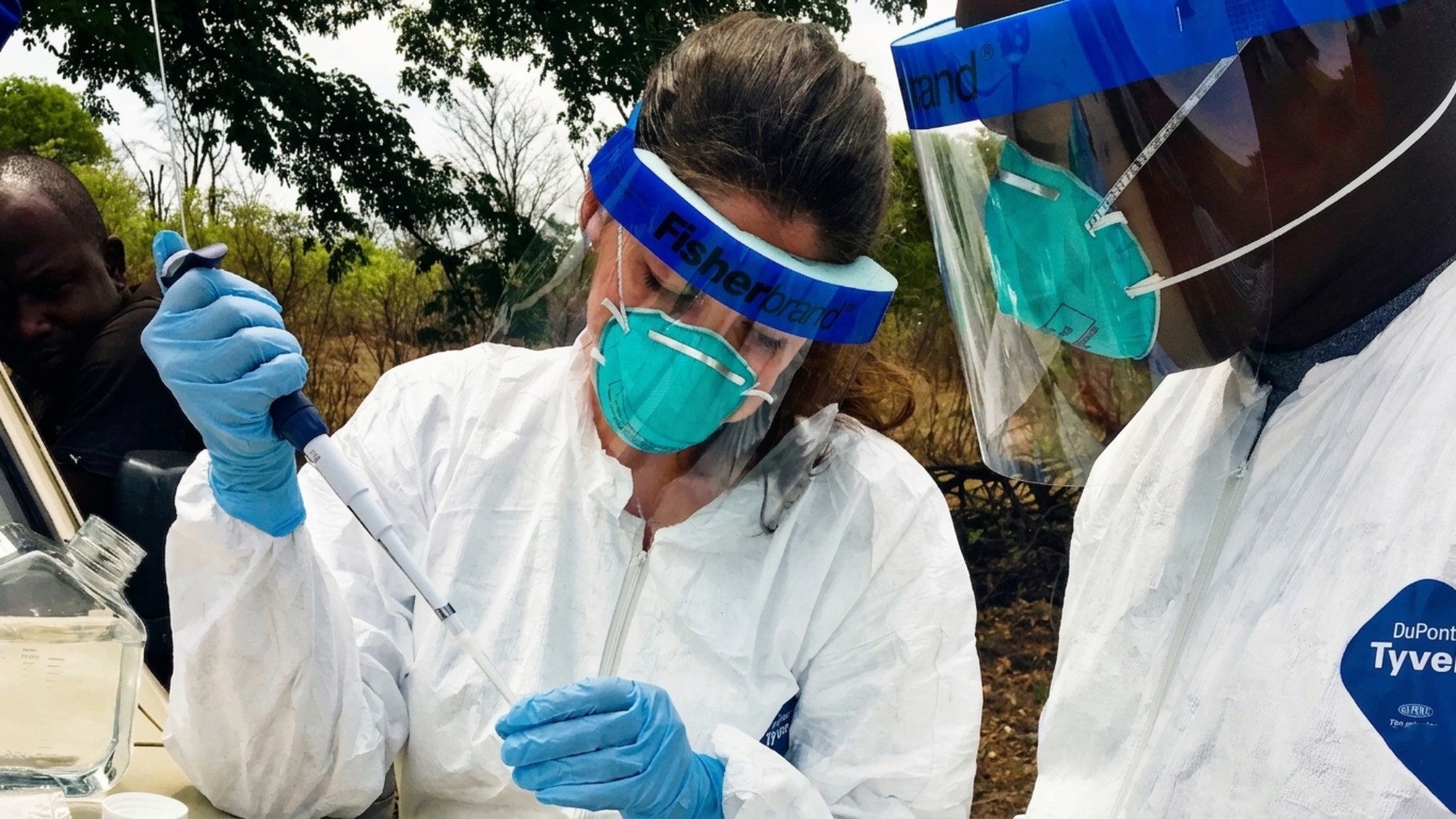 Researchers identified concerns linked to leptospirosis, a bacterial disease.