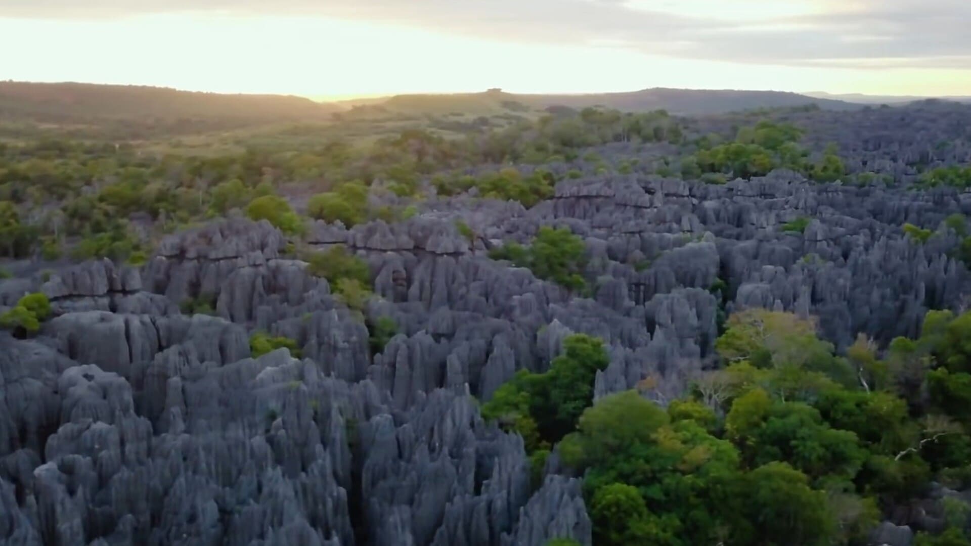 Tsingy de Bemaraha Stone Forest in Madagascar
