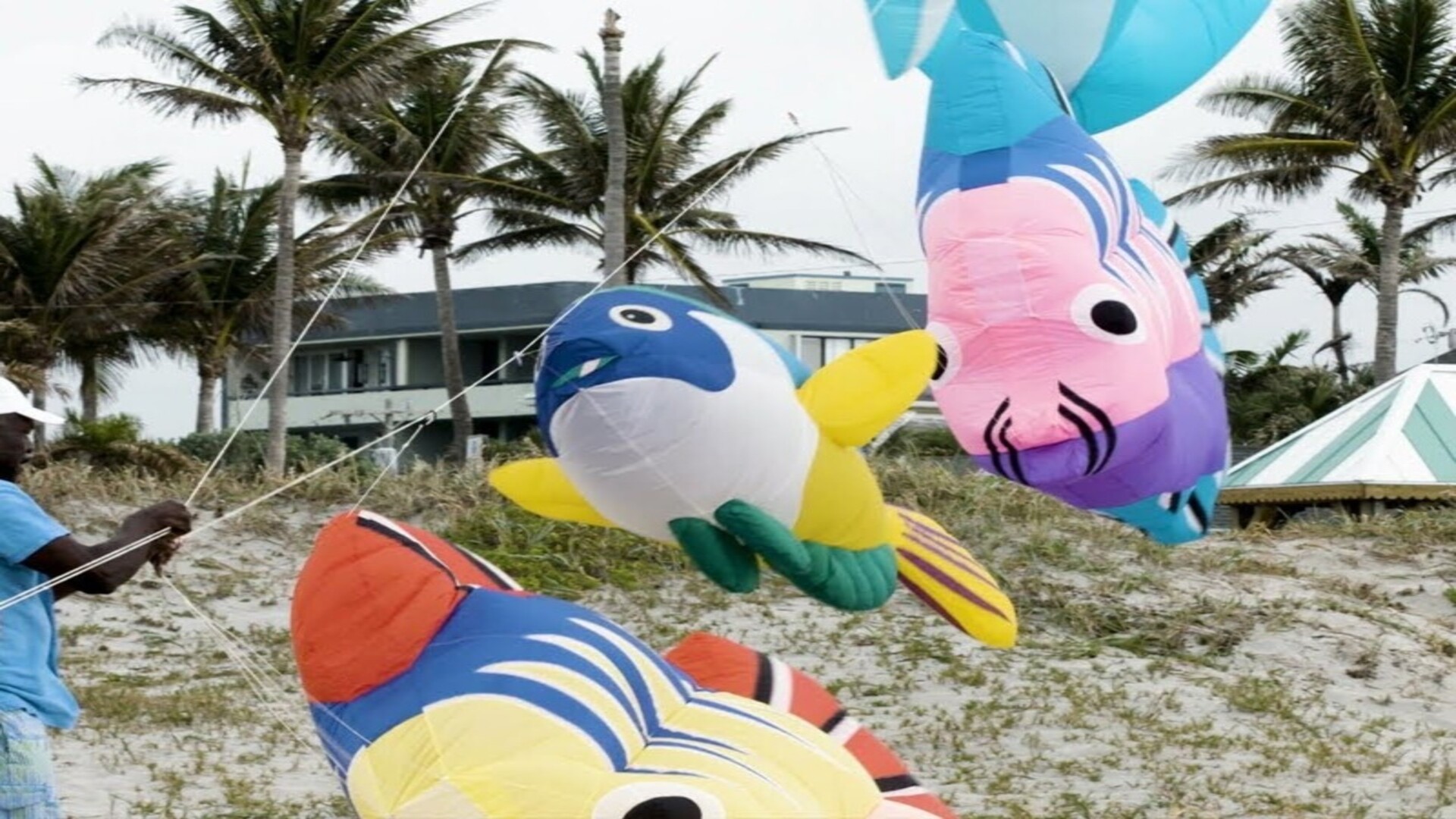 Randy the Kite Man teaches math through kite flying