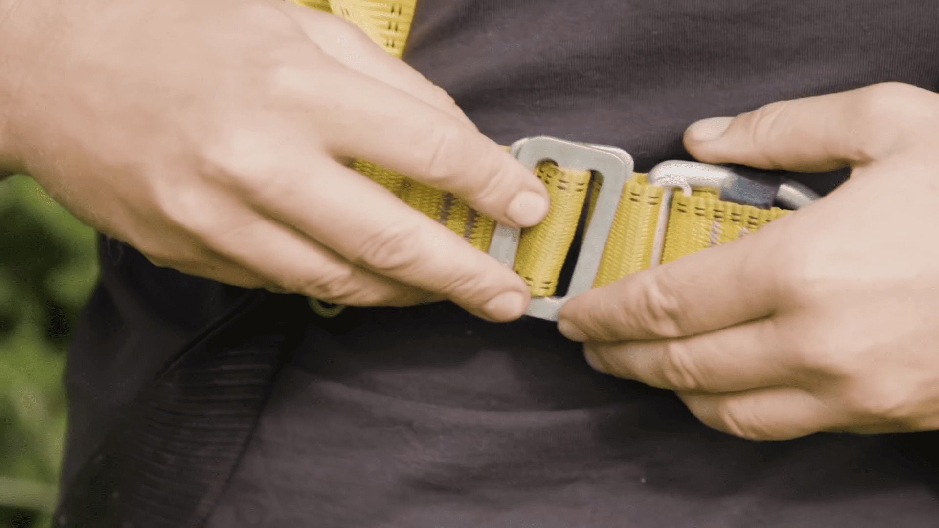 The Living Art Of Hedge Cutting At Powis Castle And Gardens.