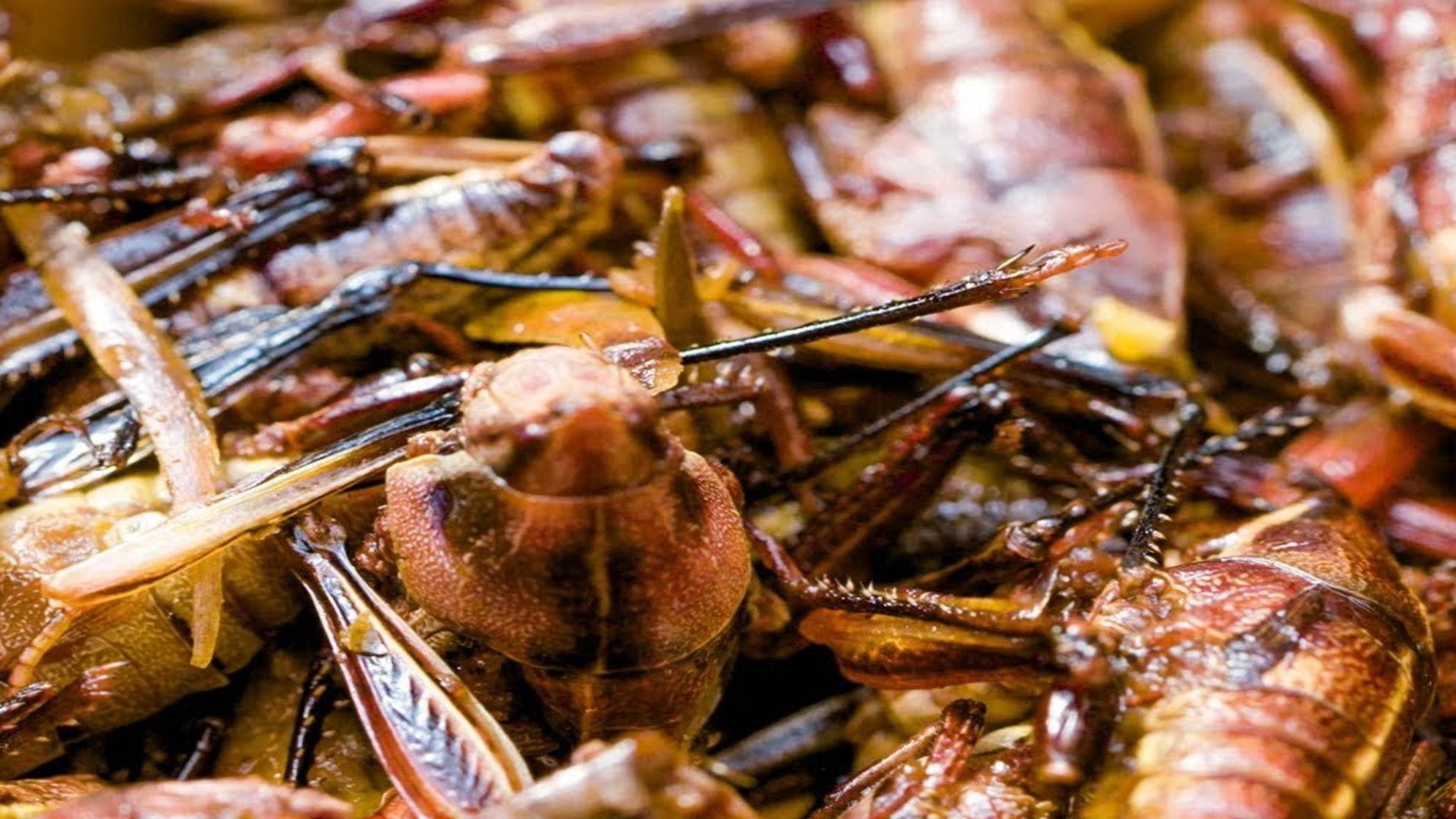 How toasted grasshoppers became Seattle baseball's most famous snack